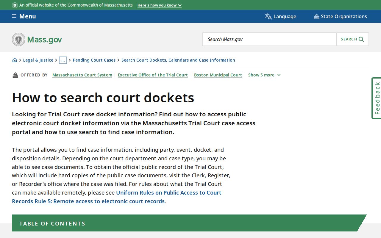 West Springfield resident lookup MassCourts public docket result fields